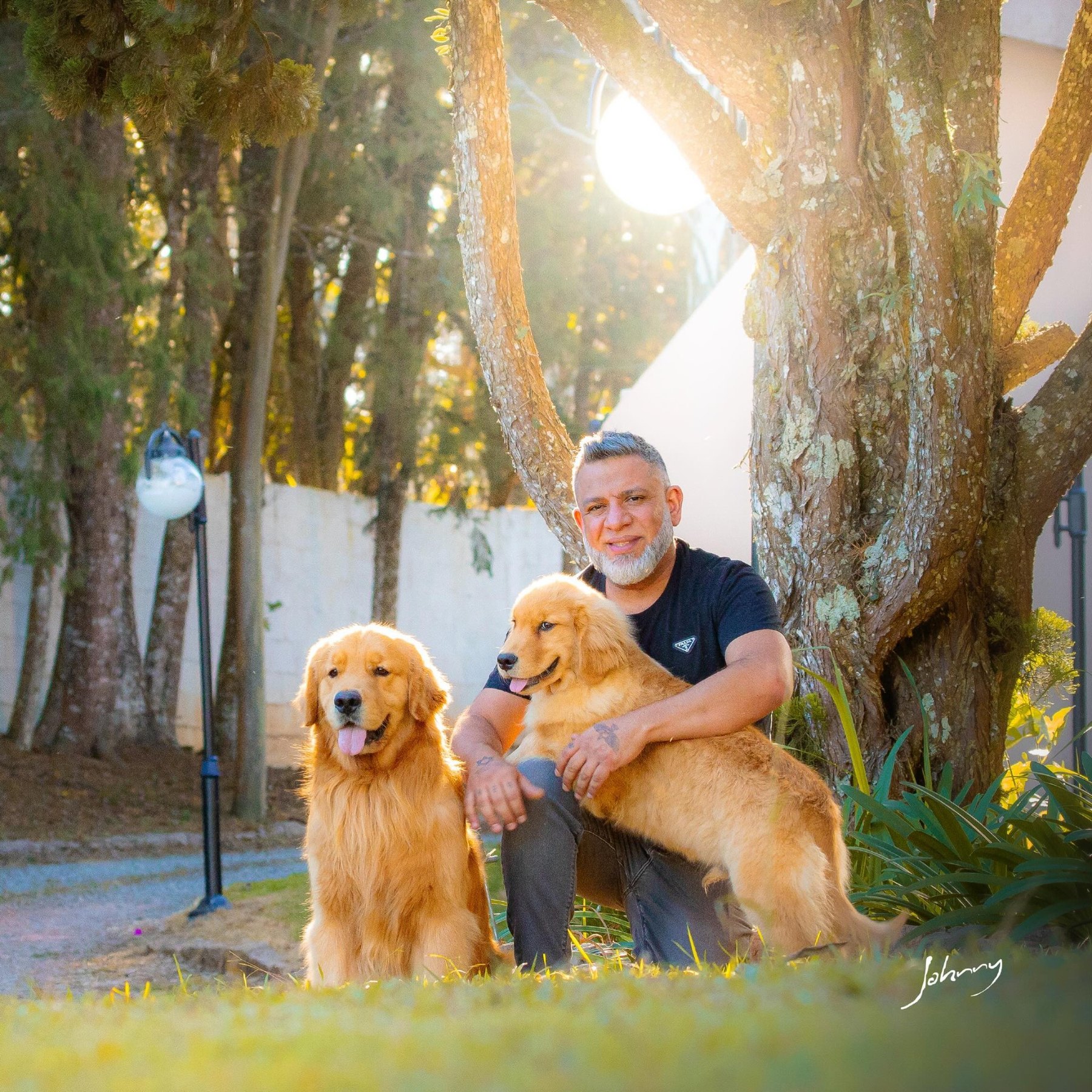 Criador com Goldens