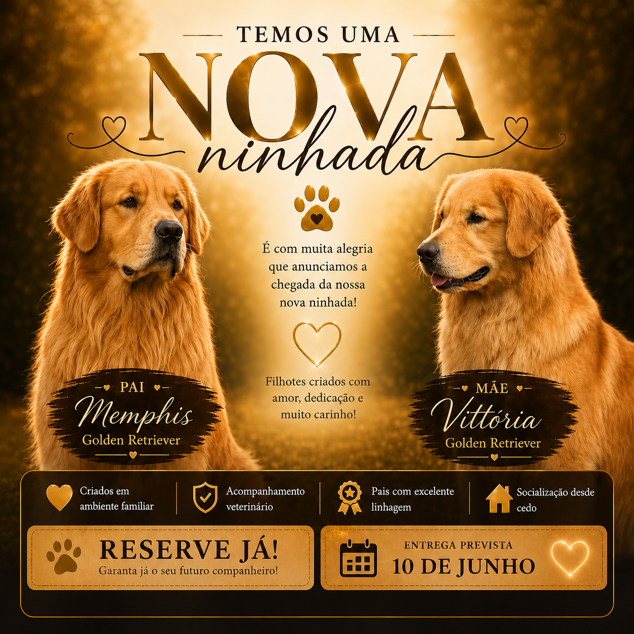 Arte da nova ninhada Golden Believe
